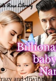 BILLIONAIRE BABY NANNY