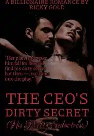 THE CEO DIRTY SECRET