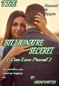 THE BILLIONAIRE SECRET